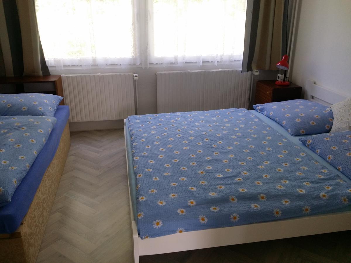 Konvalinka - ubytování v soukromí Harrachov Esterno foto